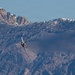F-35A Demo Team Practice