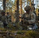 Integration Meets Innovation: U.S., U.K. forces prove lethality against aerial threats at Project Flytrap