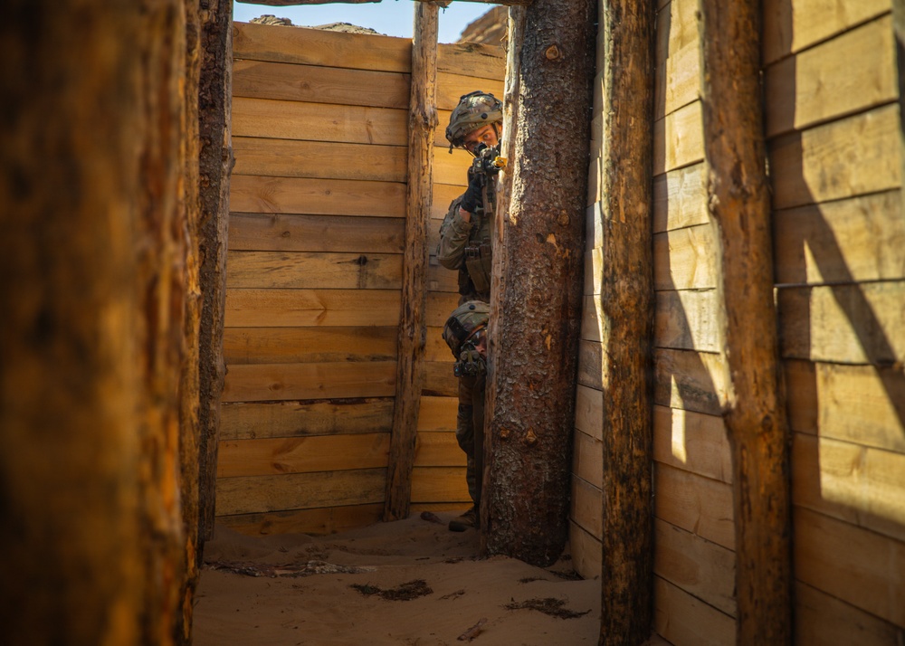 Integration Meets Innovation: U.S., U.K. forces prove lethality against aerial threats at Project Flytrap