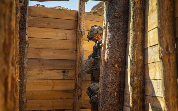 Integration Meets Innovation: U.S., U.K. forces prove lethality against aerial threats at Project Flytrap