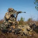Integration Meets Innovation: U.S., U.K. forces prove lethality against aerial threats at Project Flytrap