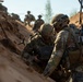 Integration Meets Innovation: U.S., U.K. forces prove lethality against aerial threats at Project Flytrap