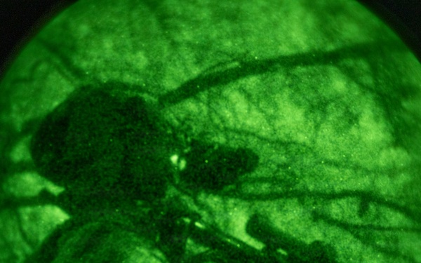 2026 Marine Corps Annual Rifle Squad Competition Night Ambush