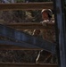 2026 Combined Best Squad Rappel Tower