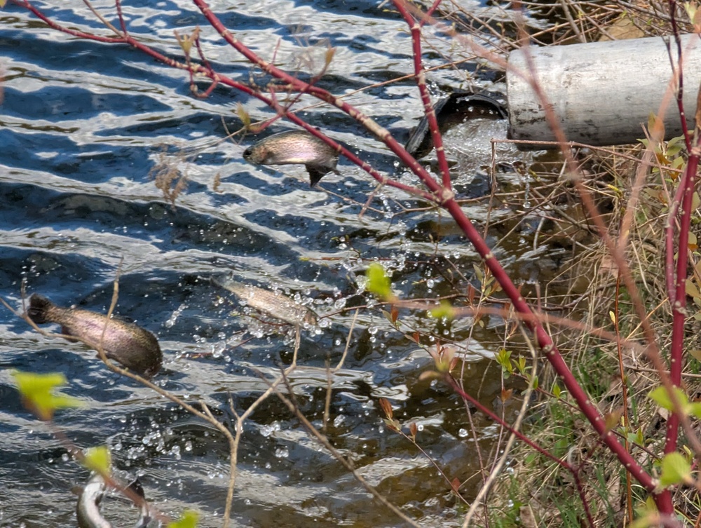 Ample fishing opportunities at Fort Drum