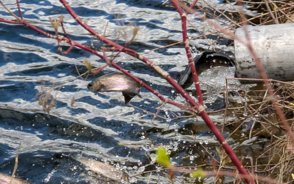 Ample fishing opportunities at Fort Drum