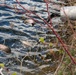 Ample fishing opportunities at Fort Drum