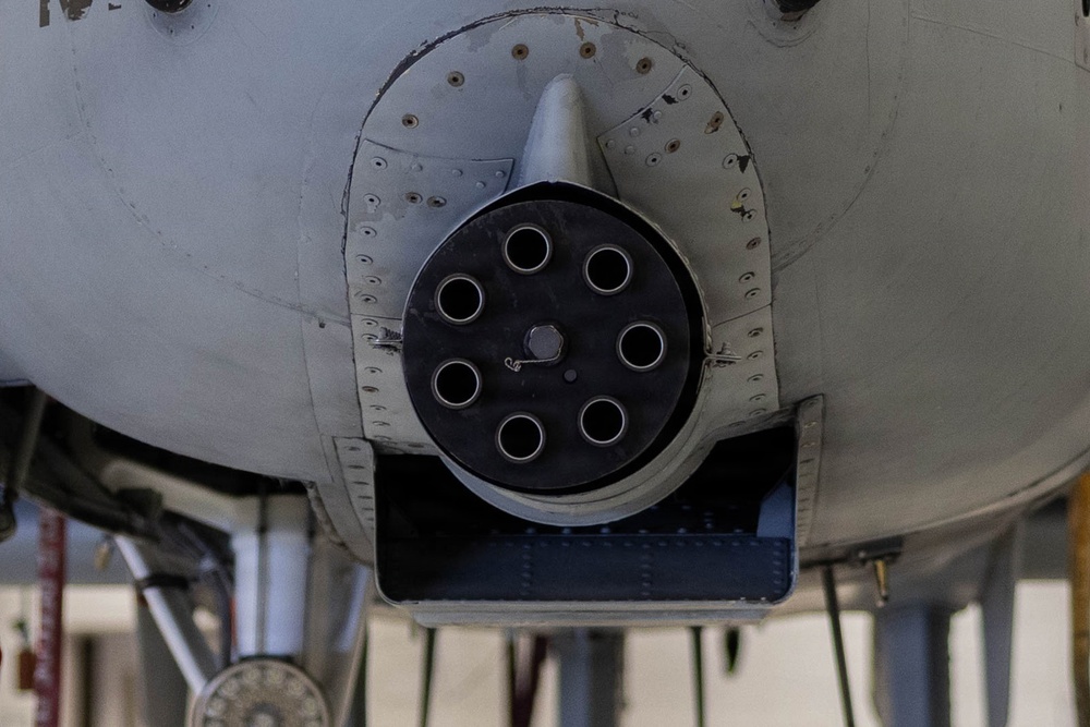 U.S. Marines with 1st Marine Division participate in A-10 Thunderbolt II “Warthog” familiarization