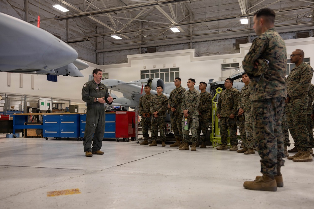 U.S. Marines with 1st Marine Division participate in A-10 Thunderbolt II “Warthog” familiarization