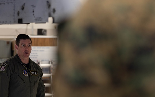 U.S. Marines with 1st Marine Division participate in A-10 Thunderbolt II “Warthog” familiarization