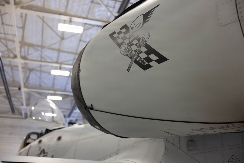 U.S. Marines with 1st Marine Division participate in A-10 Thunderbolt II “Warthog” familiarization