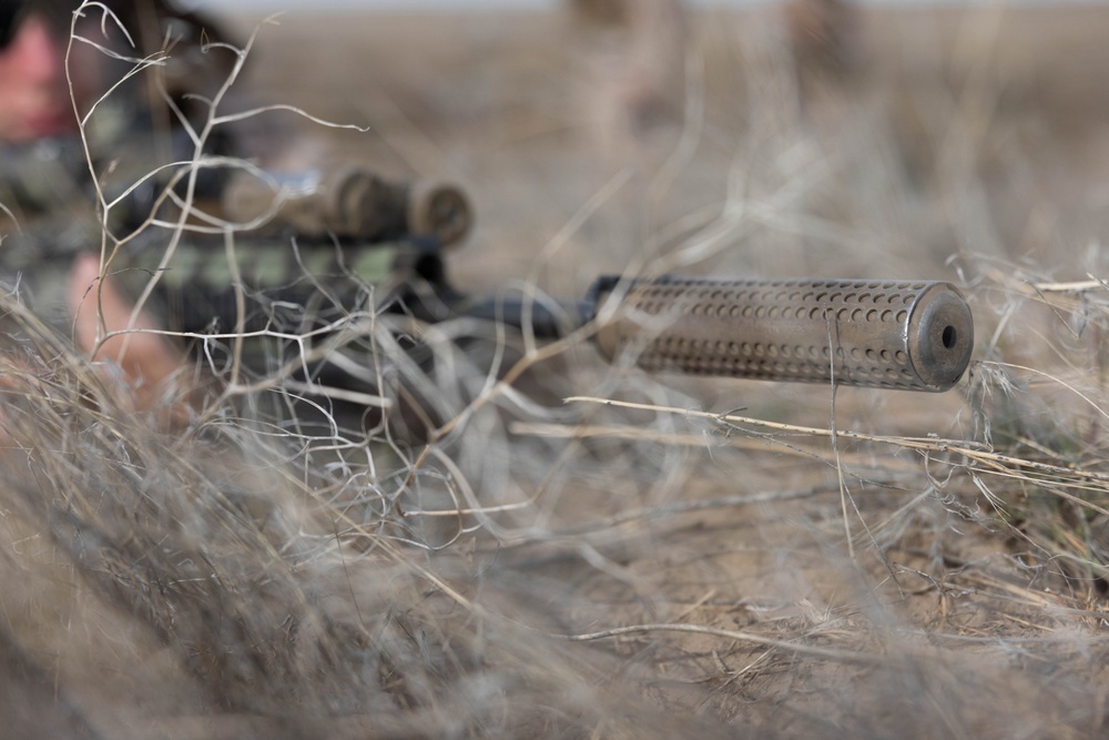 Marines coordinate close air support during Exercise Garnet Rattler