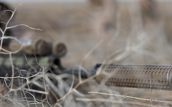 Marines coordinate close air support during Exercise Garnet Rattler