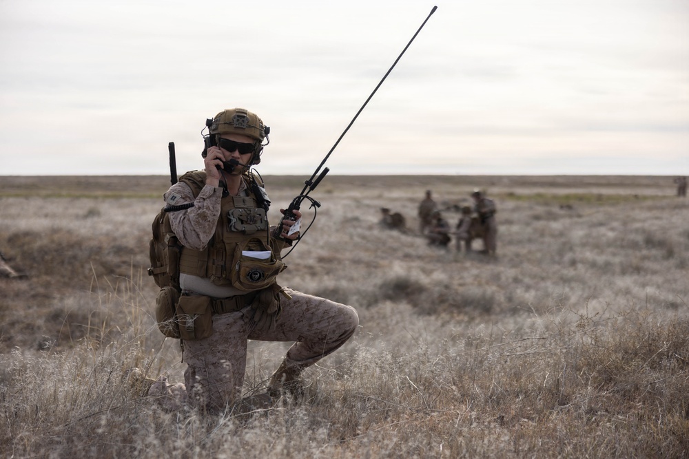 Marines coordinate close air support during Exercise Garnet Rattler