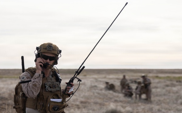 Marines coordinate close air support during Exercise Garnet Rattler