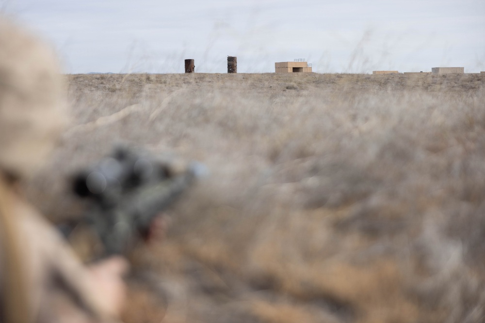 Marines coordinate close air support during Exercise Garnet Rattler