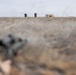 Marines coordinate close air support during Exercise Garnet Rattler