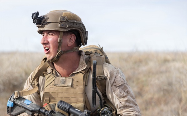 Marines coordinate close air support during Exercise Garnet Rattler