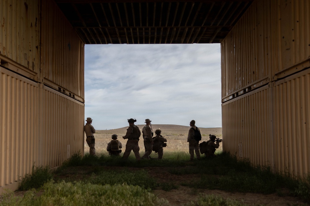 Marines coordinate close air support during Exercise Garnet Rattler