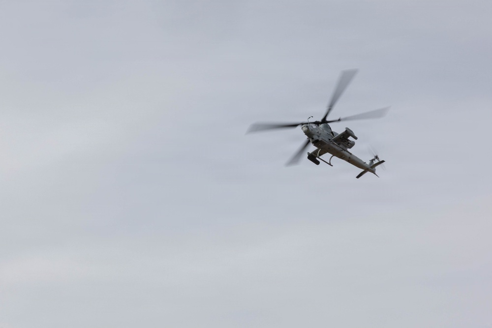 Marines coordinate close air support during Exercise Garnet Rattler