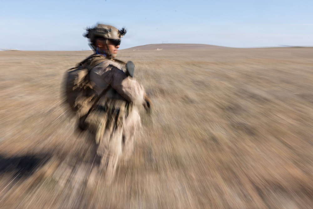 Exercise Garnet Rattler: Marines coordinate close air support, conduct urban assault