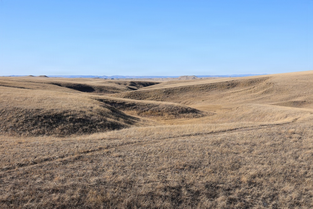 Cow Paths Across the Buffalo Gap National Grassland