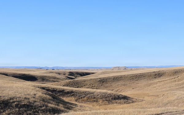 Cow Paths Across the Buffalo Gap National Grassland