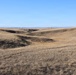Cow Paths Across the Buffalo Gap National Grassland