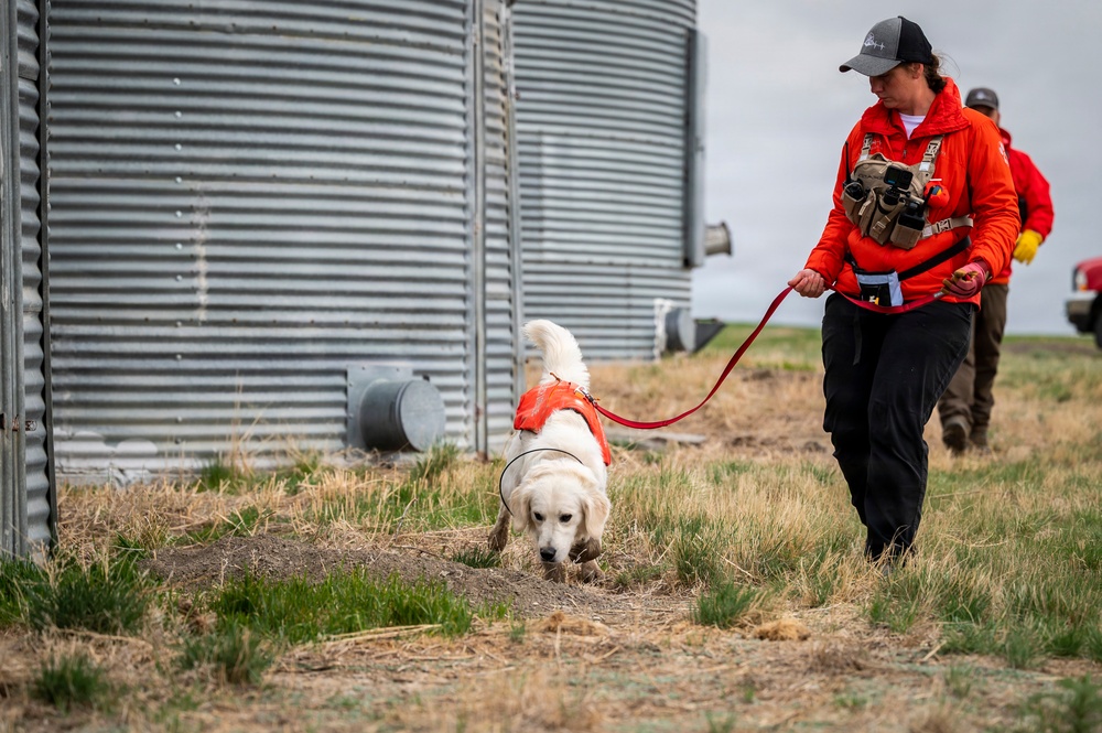 Montana Air National Guard conducts MARE, strengthens community partnerships