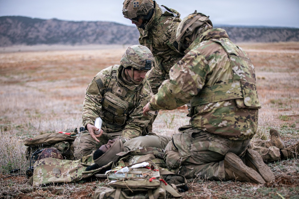 Ivy Mass 1st Battalion, 66th Armor Regiment