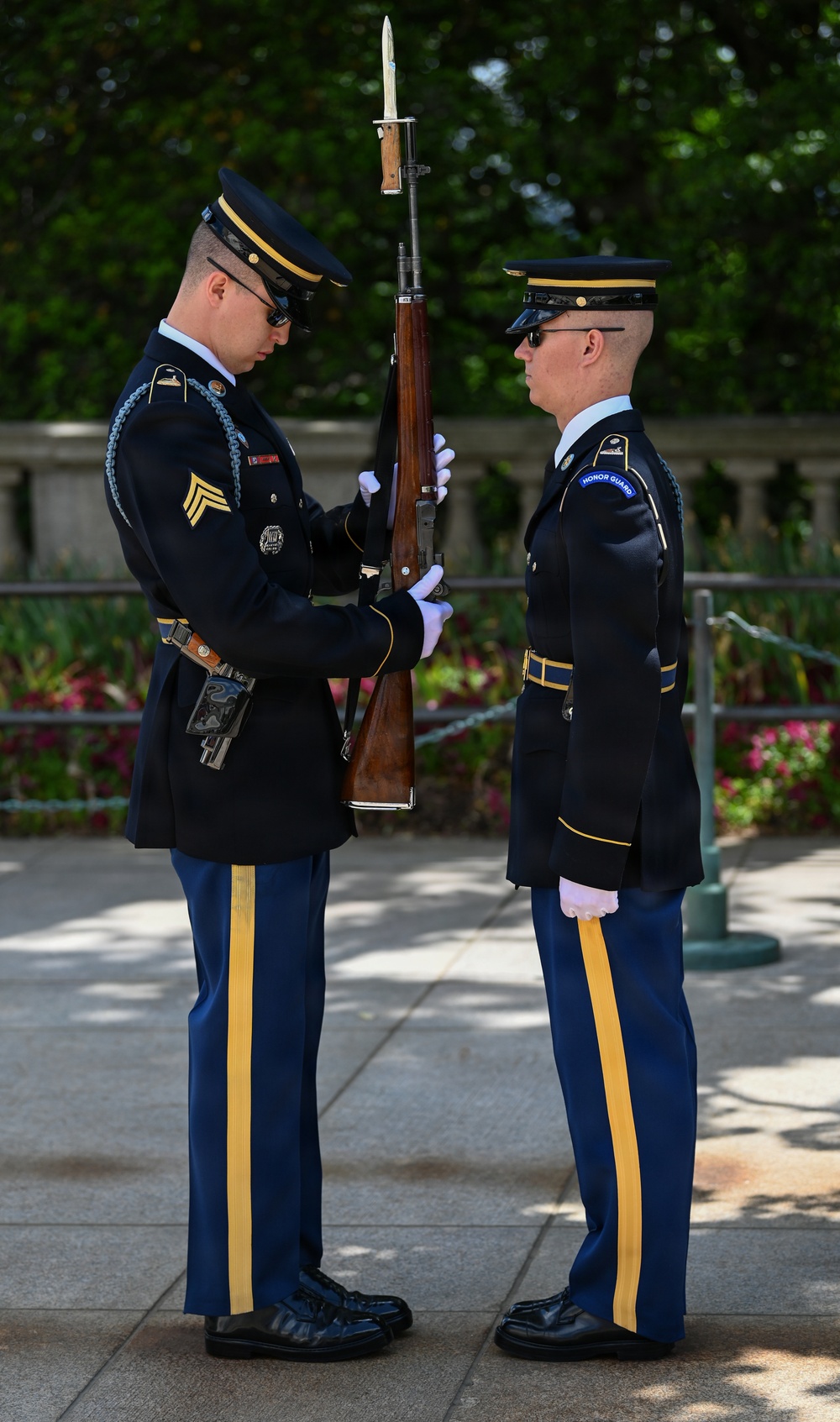 Changing of the Guard sentinel inspection