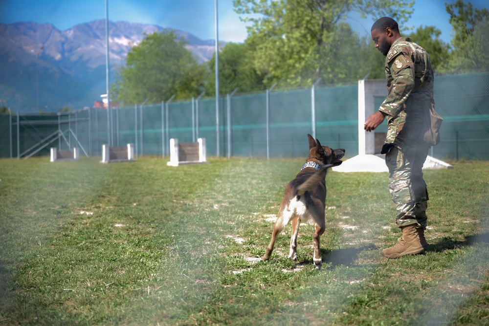 31 FW Command Chief immerses with 31 SFS K-9 unit