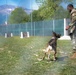 31 FW Command Chief immerses with 31 SFS K-9 unit