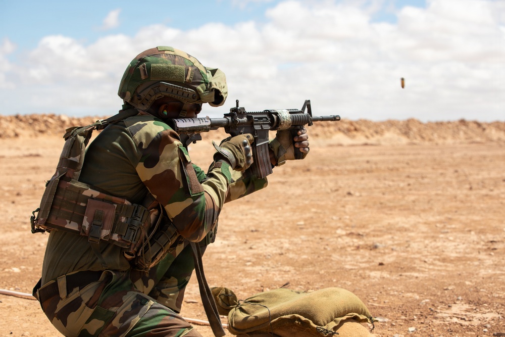 African Lion 26 combined arms live-fire exercise builds lethality, combat readiness