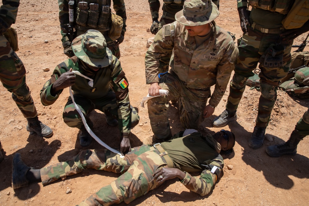 African Lion 26 combined arms live-fire exercise builds lethality, combat readiness
