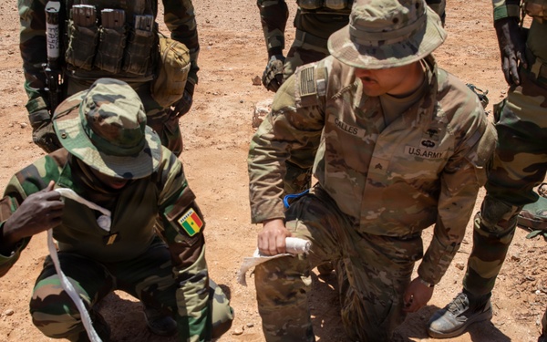 African Lion 26 combined arms live-fire exercise builds lethality, combat readiness