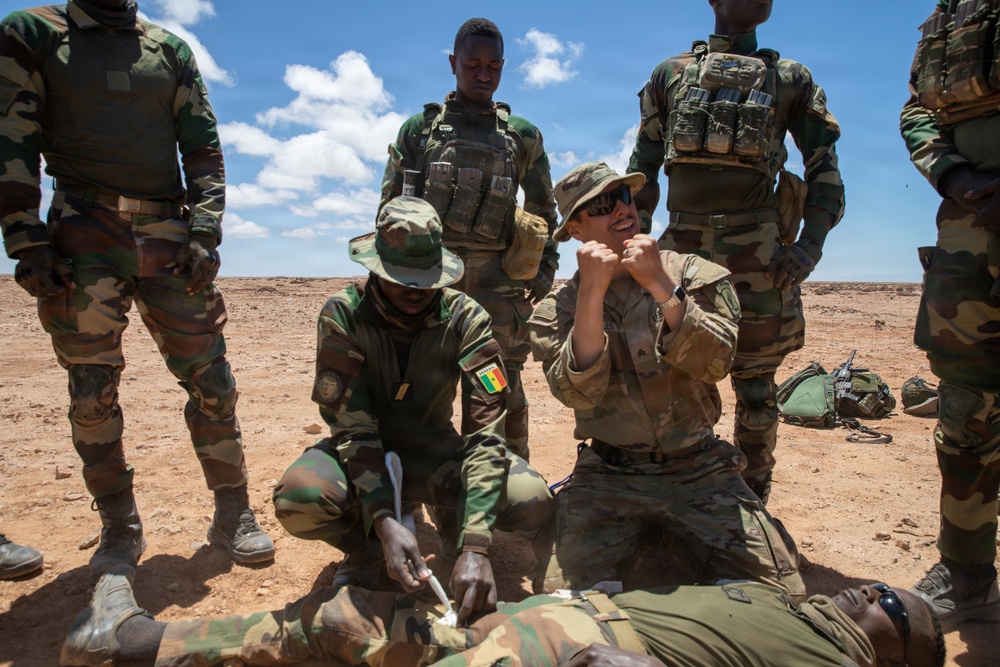 African Lion 26 combined arms live-fire exercise builds lethality, combat readiness