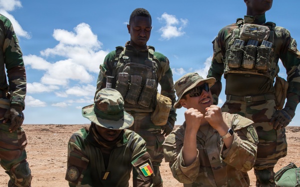 African Lion 26 combined arms live-fire exercise builds lethality, combat readiness