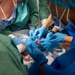 Utah National Guard strengthens Morocco partnership through African Lion 26 medical operations