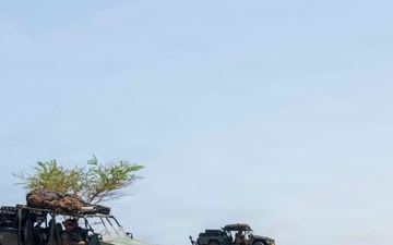 Balikatan 2026: 25th ID mortars conduct a dry fire during a live fire exercise during Exercise Balikatan in the Philippines