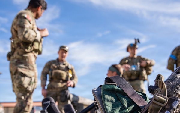 Exercise Deep Strike II