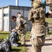 Exercise Deep Strike II