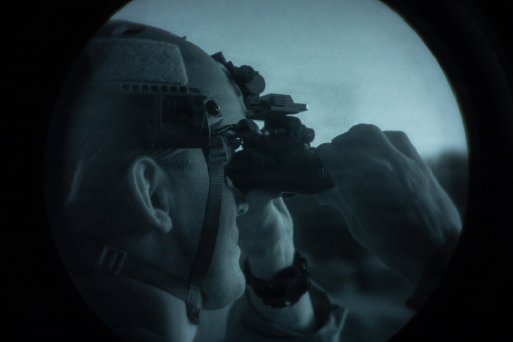 Exercise Deep Strike II