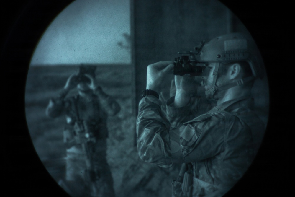 Exercise Deep Strike II
