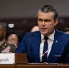 SW, CJCS Testify at DoW SASC Hearing