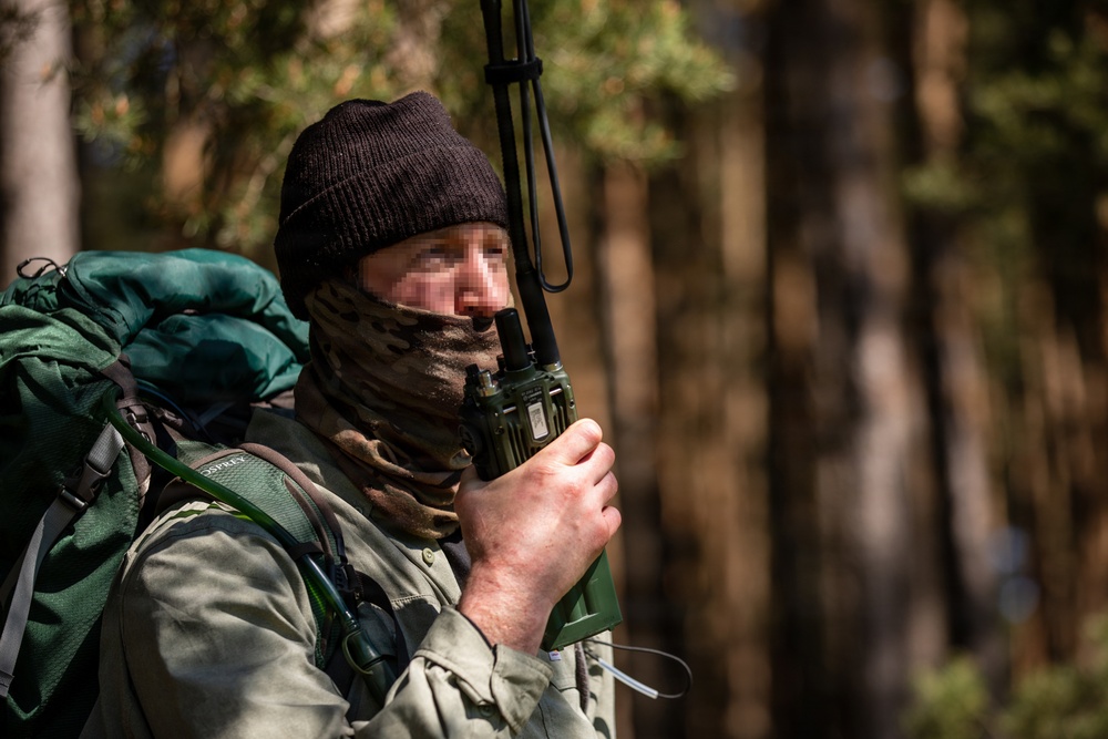 Exercise Deep Strike II
