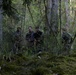 Exercise Deep Strike II