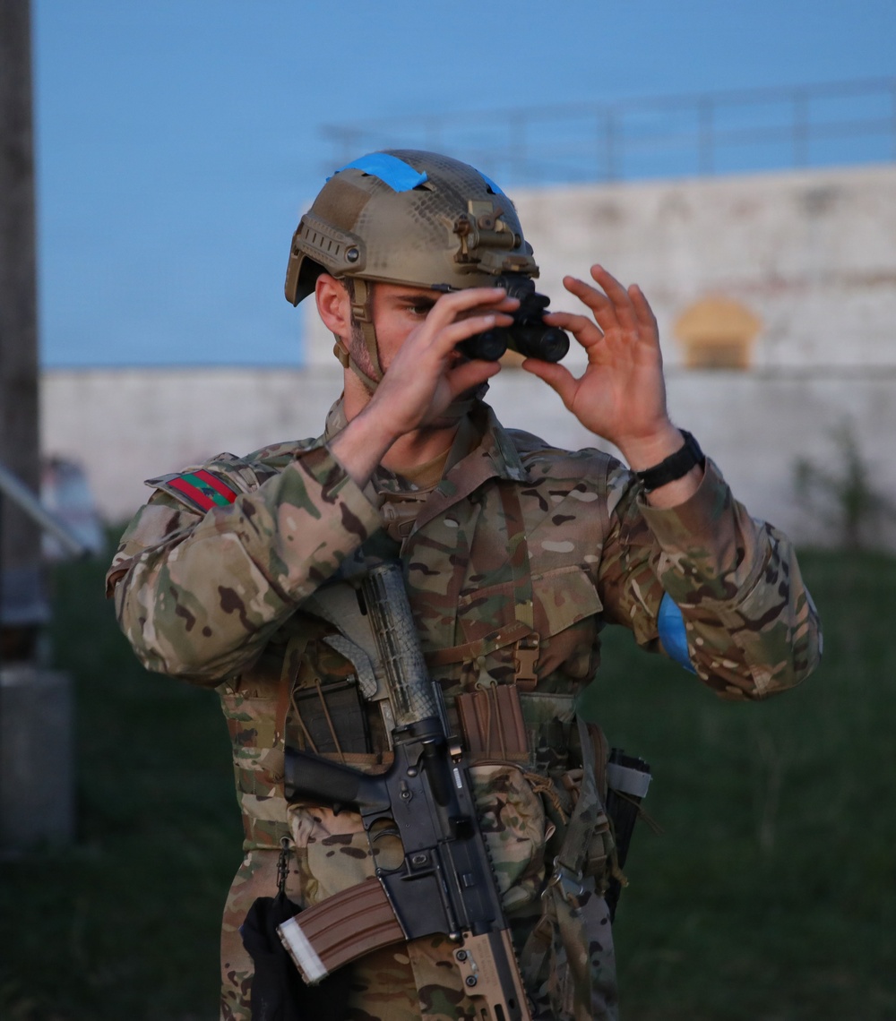 Exercise Deep Strike II