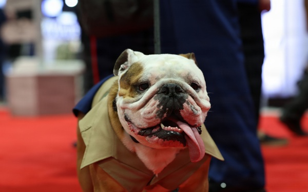 Modern Day Marine 2026