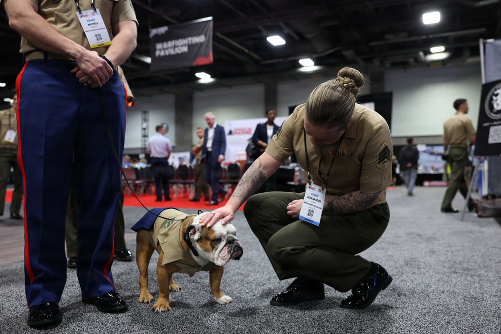 Modern Day Marine 2026